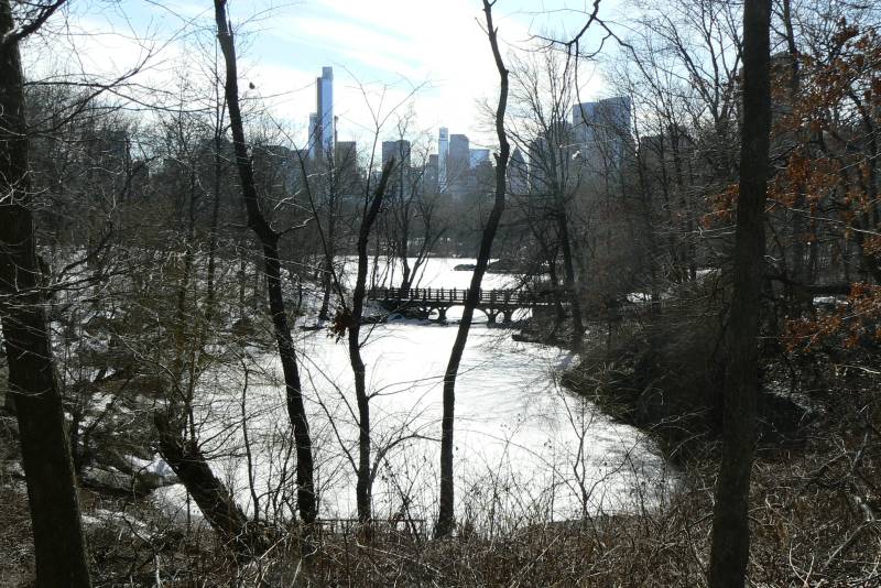 57 Central Park